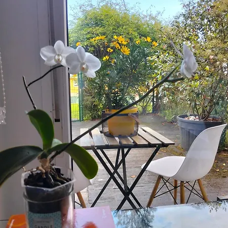Apartmán Oasis De Sal Y Pradera *